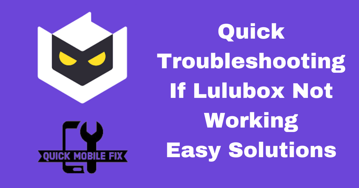 Quick Troubleshooting If Lulubox Not Working|With Easy Solutions 